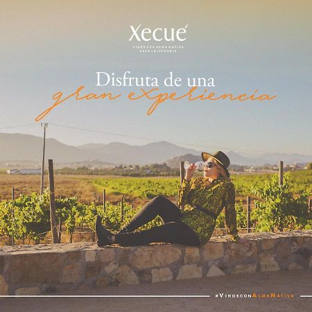 Hotel Vinos Xecue Ensenada Zewnętrze zdjęcie